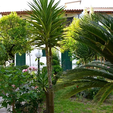 Kostas' Garden * Ρόδα