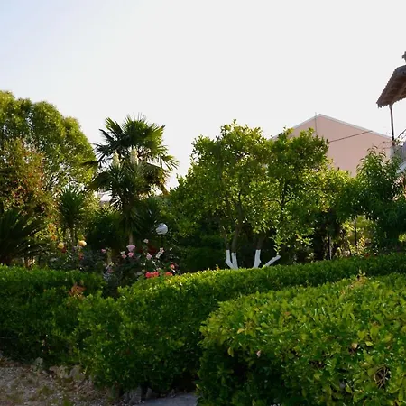 Kostas' Garden