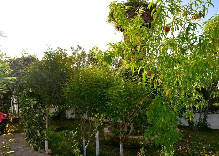 Apartamento Kostas' Garden