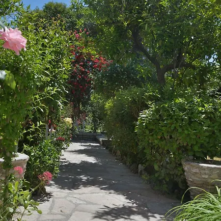 Kostas' Garden