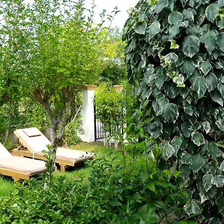 Apartman Kostas' Garden