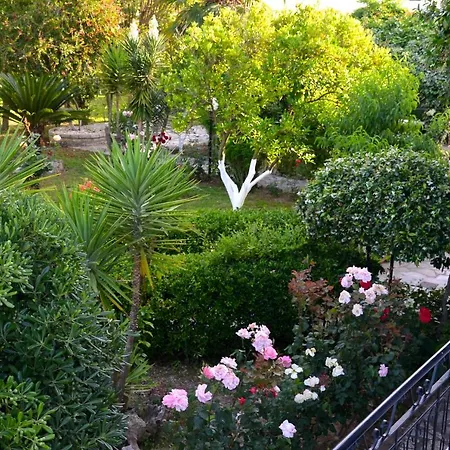 Kostas' Garden Róda