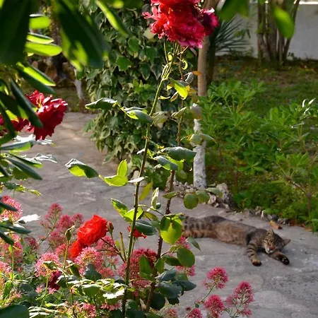 شقة Kostas' Garden *