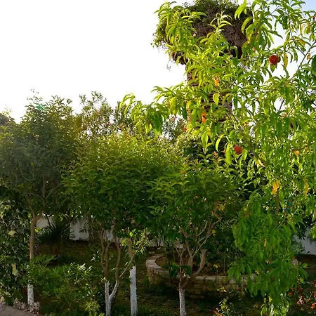 Apartman Kostas' Garden
