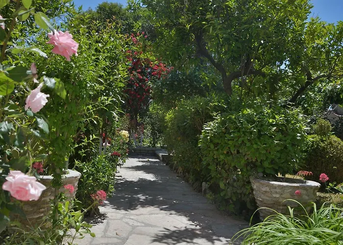 Kostas' Garden