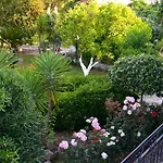 Kostas' Garden Ρόδα