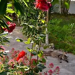 Διαμέρισμα Kostas' Garden *