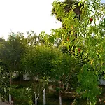 Διαμέρισμα Kostas' Garden