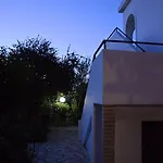 Kostas' Garden